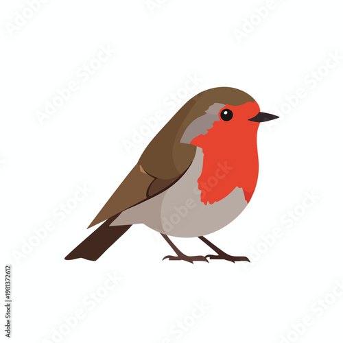 Cute Illustration of a Robe Bird Standing on the Ground