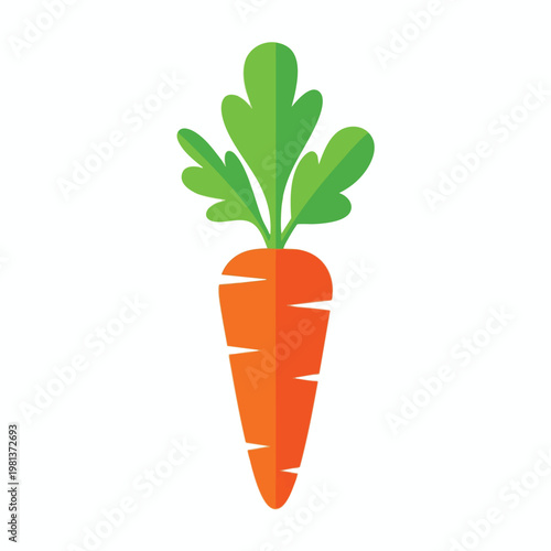 Fresh Organic Carrot with Green Leaves Healthy Vegetables for Nutrition and Cooking