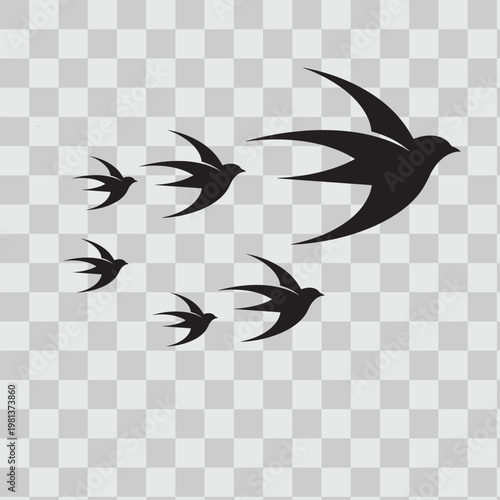 Minimalist silhouette vector of flock of swallows flying in group over transparent background isolated.