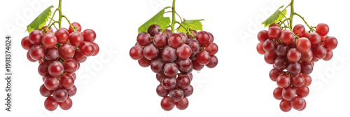 Foto Fresh Red Grape Bunches Set - Realistic Seedless Grapes with Green Leaves Isolat