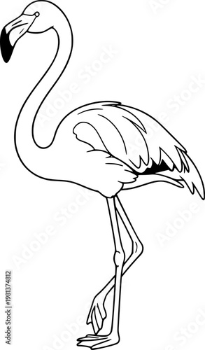 illustration of a flamingo
