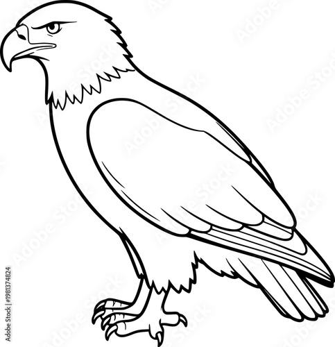 vector illustration of an eagle
