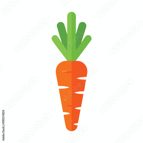 Fresh Carrot with Green Leaves and Bright Orange Root Healthy Vegetarian Vegetable
