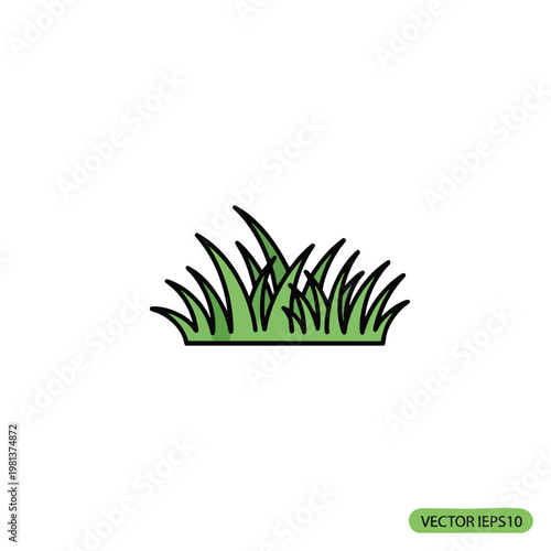 Fresh Green Grass Growing in a Field for Nature and Eco Friendly Concepts