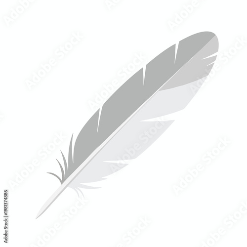Elegant White Feather with Soft Shadows for Artistic and Creative Design Projects