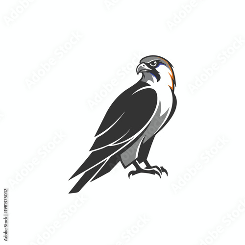 Stylized Illustration of a Predatory Bird for Nature and Wildlife Themes