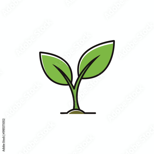 Fresh Green Plant Seedling Growing in Soil for Eco Friendly and Sustainable Farming