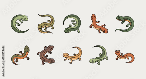 Collection of various lizard species.
