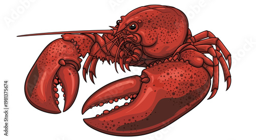 Red Lobster Crustacean Seafood Animal.