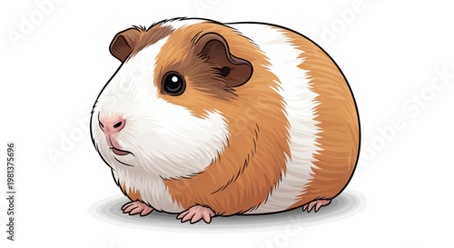 Cute Guinea Pig Pet Animal.