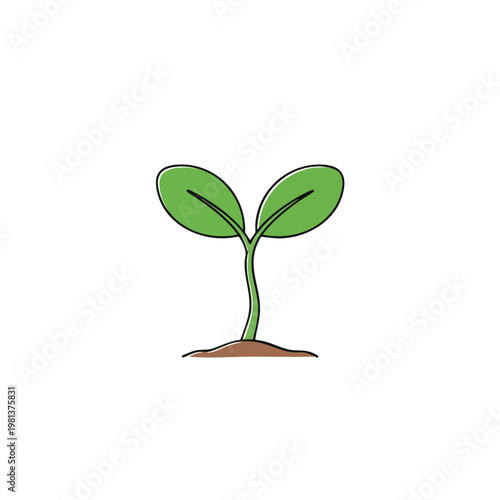 Young Plant Growing in Soil with Fresh Green Leaves for Sustainable Agriculture