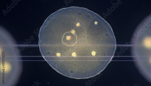 Microscopic view of glowing cells floating in a dark environment with bright yellow spots.