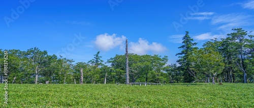大台ヶ原で見た青空と緑広がる高原のパノラマ風景