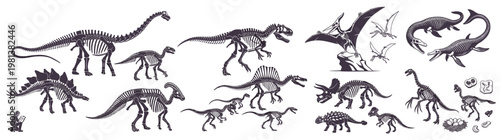 Flat Vector Anatomy Silhouette Illustration Isolated on White: Diverse Collection of Dinosaur Skeletons and Prehistoric Reptile Fossils