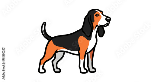 Beagle Dog Vector Illustration, Flat Style Graphic of a Standing Tri-Color Hound for Pet Care Branding and Veterinary Clinic Design Projects