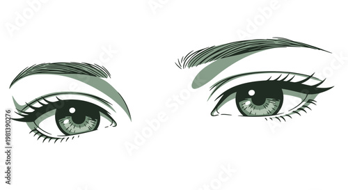 Beautiful Female Eyes Vector Illustration, Detailed Eyelashes and Eyebrows, Elegant Makeup Style Graphic