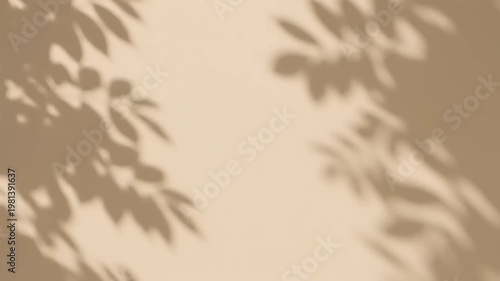 Shadows of leaves cast on a neutral background creating a natural aesthetic.