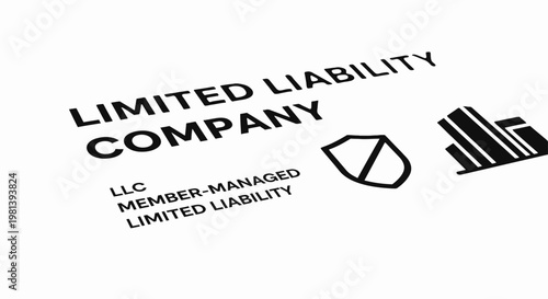 Limited Liability Company (LLC) business concept typography.
