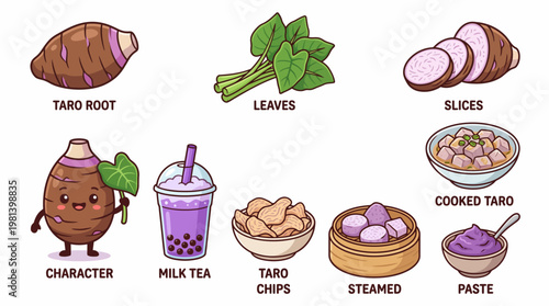 Illustrated infographic of taro root and various food products including bubble tea chips and paste
