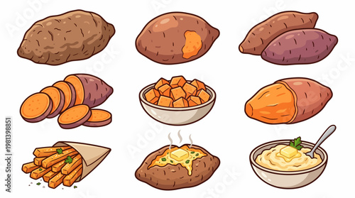 Illustrated infographic of various yam root preparations including fries baked potato and mashed puree