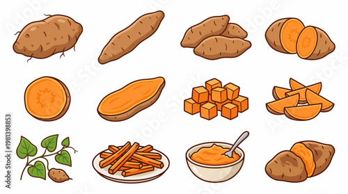 Cartoon yam root collection featuring whole tubers slices cubes fries and mashed bowl