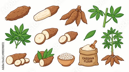 Cassava root vector cartoon set with whole tuber, slices, leaves, plant and cassava flour