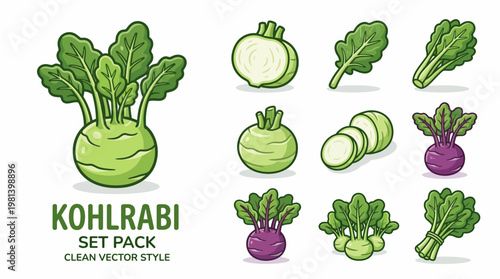Kohlrabi vector cartoon set with green and purple varieties whole root slices and leaves
