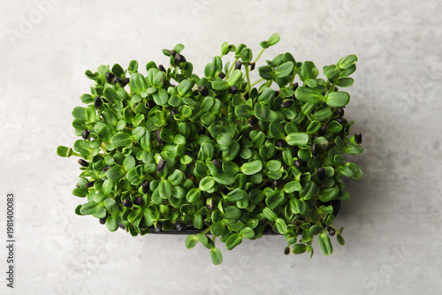 Fresh microgreens on grey table, top view