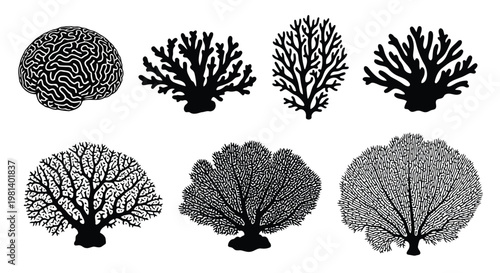 A collection of seven different coral reef silhouettes