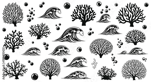 A collection of various coral reef illustrations