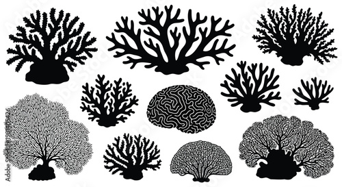 A collection of various coral reef silhouettes