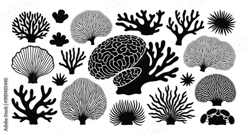 A collection of various coral reef silhouettes