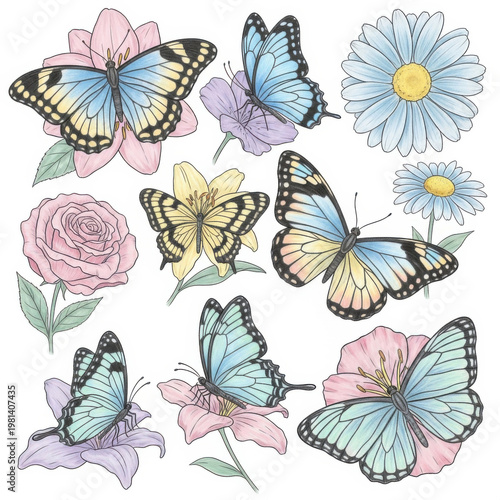 Colorful butterflies and flowers illustration set