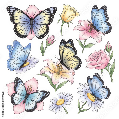 Colorful butterflies and flowers illustration set