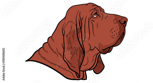 Bloodhound Dog Head Profile Vector Illustration, Detailed Canine Portrait Graphic for Animal Lovers and Pet Care Branding Projects