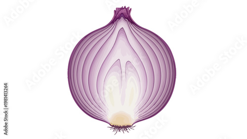 Purple Onion Cut Open.