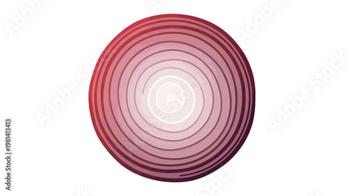 Red Onion Cross Section.