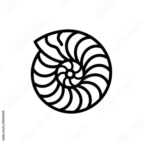 Black and white illustration of a spiral form, reminiscent of a shell or natural design