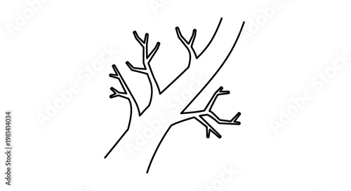 Simple Black Branch Illustration.
