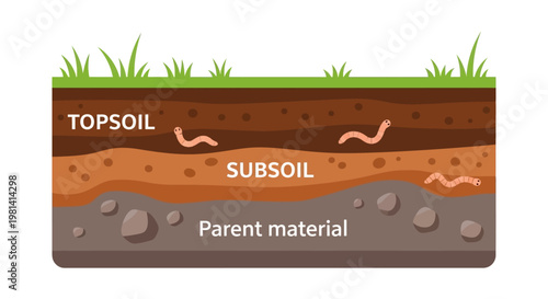 Soil Layers Diagram Illustration.