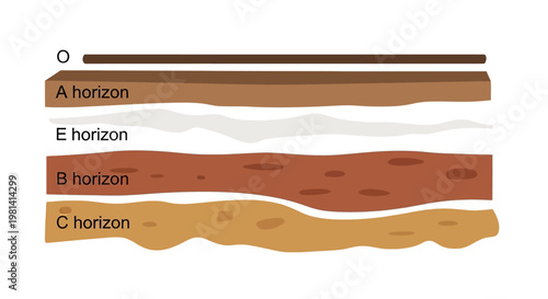Soil Layers Diagram Illustration.