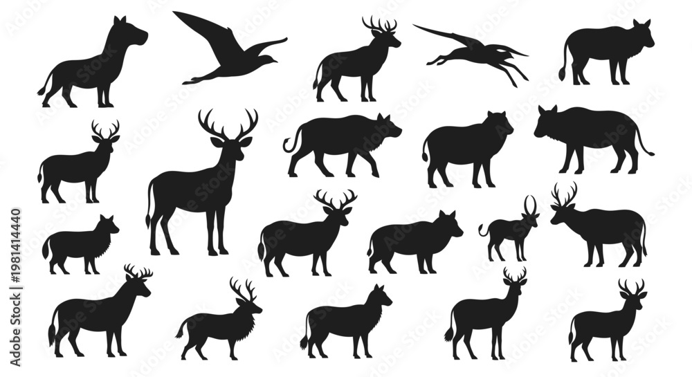 Fototapeta premium Various Wild Animal Silhouettes.