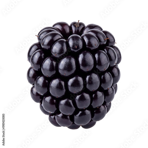 Macro Ripe Glossy Blackberry Isolated on Pure White Background PNG Cutout