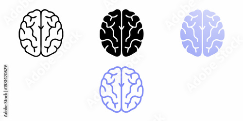 Three brain illustrations in varying color schemes and outlines