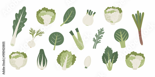 Variety of fresh green vegetables arranged in a colorful illustrative composition
