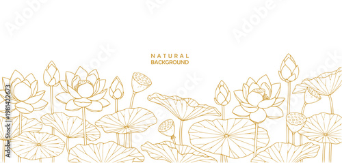 lotus natural background