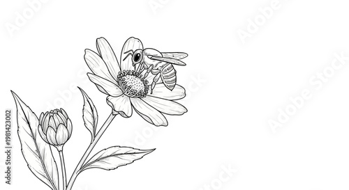 Bee on a flower collecting nectar.