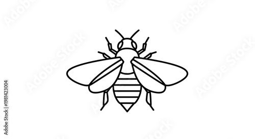 Detailed illustration of a honey bee.