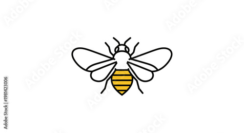 Detailed illustration of a honey bee.