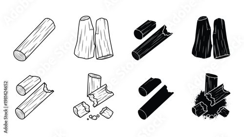 Wood Logs Broken Sections Collection Resource